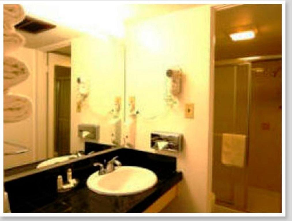 Econo Lodge Inn&Suites Yuma I-8 Quarto foto